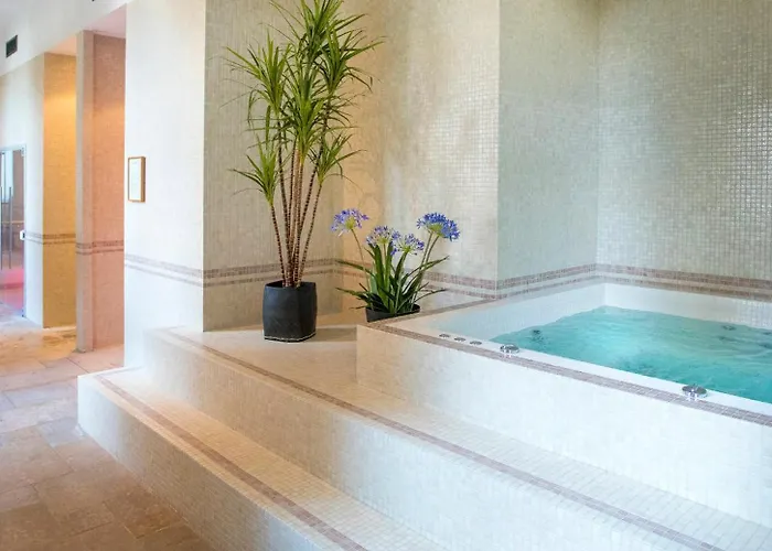 Hôtel accueillant les animaux: Fourvière Hôtel